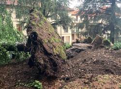 Cuasso al Monte - Maltempo8 luglio 2021