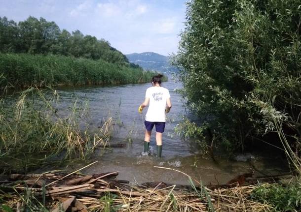 Goletta dei Laghi, la presentazione dei dati a Varese