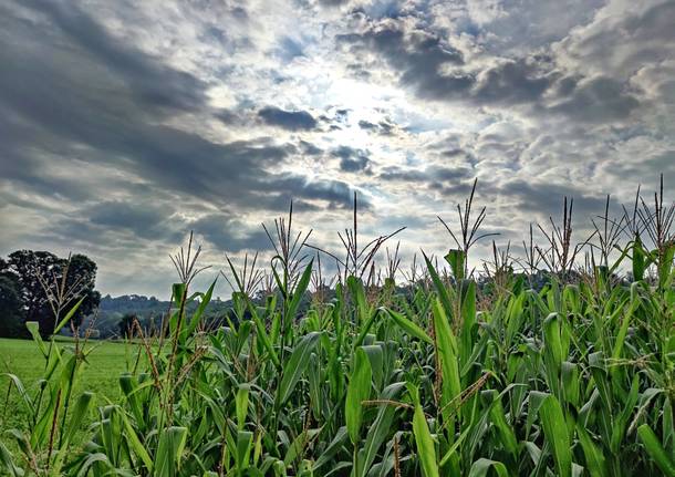 Il sole spunta dalle nuvole alla piana di Vegonno