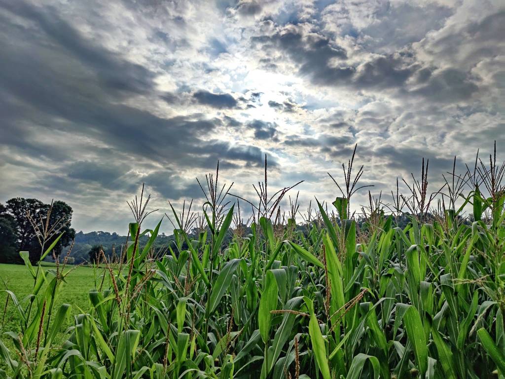 Il sole spunta dalle nuvole alla piana di Vegonno