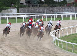 Ippodromo Le Bettole foto di Roberto Gernetti