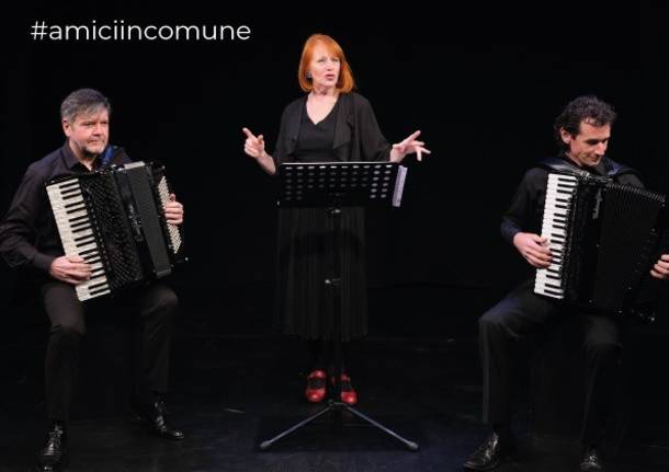 la voce della fisarmonica