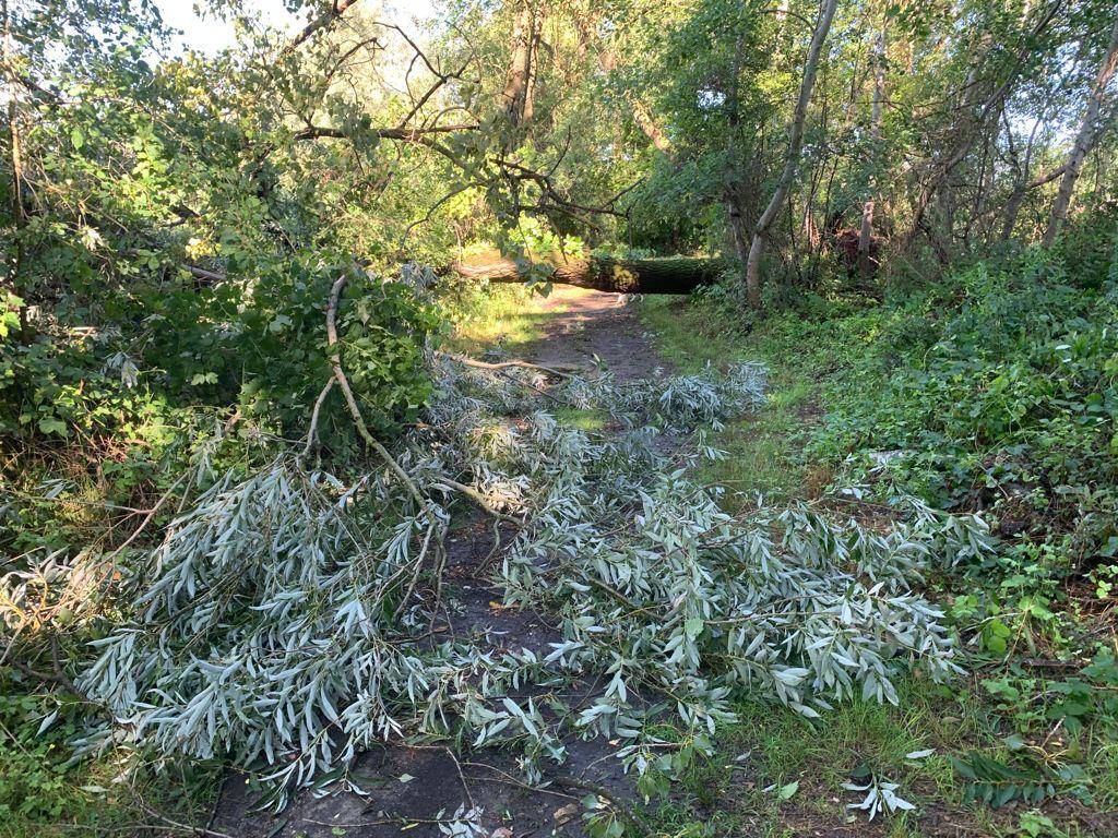 Maltempo, tronchi e alberi caduti all’Oasi della Bruschera di Angera