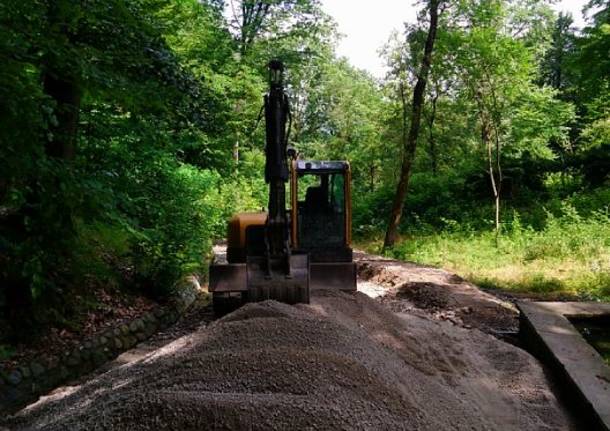 Manutenzione del Parco delle Groane, valorizzazione del territorio, nuove ciclabili ed arredi