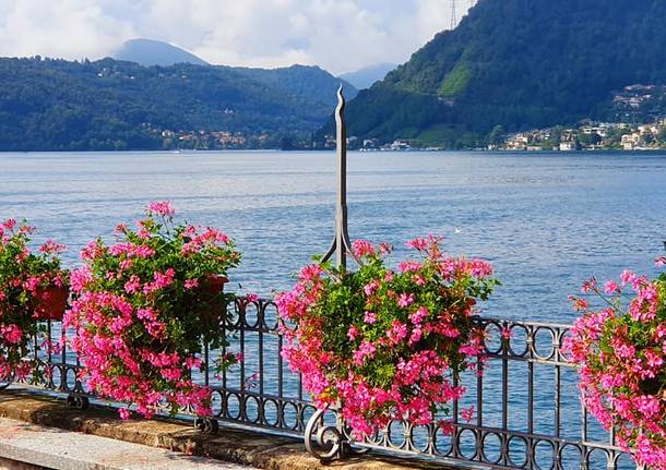 Porto Ceresio, fiori - foto di Clara Comolli