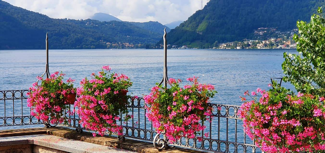 Porto Ceresio, fiori - foto di Clara Comolli