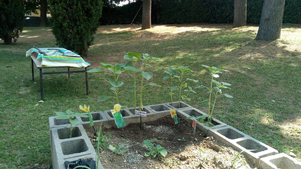 Scuola dell'infanzia L'Aquilone di Cassano Magnago