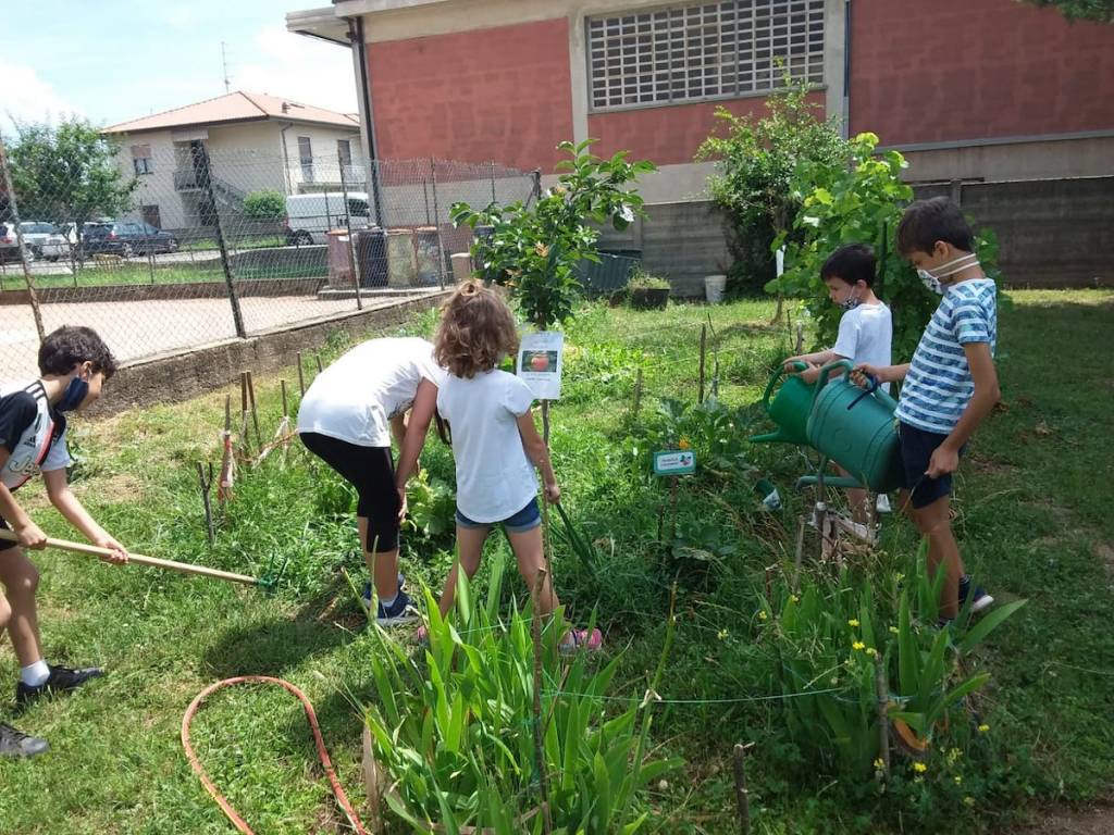 Solbiate Arno: piano estate alla scuola Galvaligi