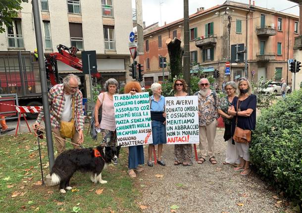 Tradate - Abbattimento albero piazza Mazzini