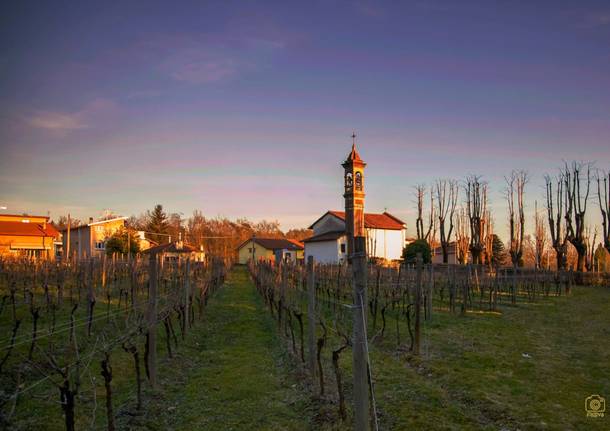 Tradate, Madonna della Vigna
