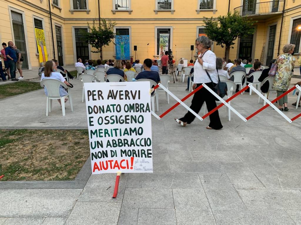 Tradate - Serata pubblica per salvare gli alberi di piazza Mazzini