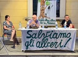 Tradate - Serata pubblica per salvare gli alberi di piazza Mazzini