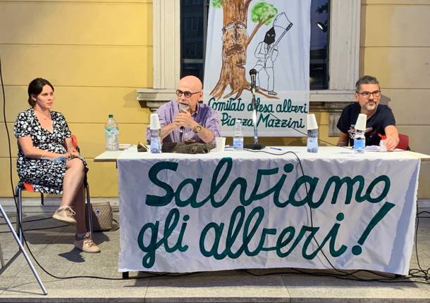 Tradate - Serata pubblica per salvare gli alberi di piazza Mazzini