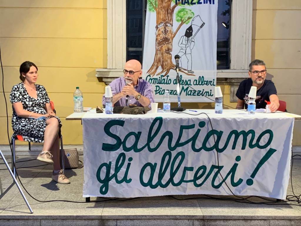 Tradate - Serata pubblica per salvare gli alberi di piazza Mazzini