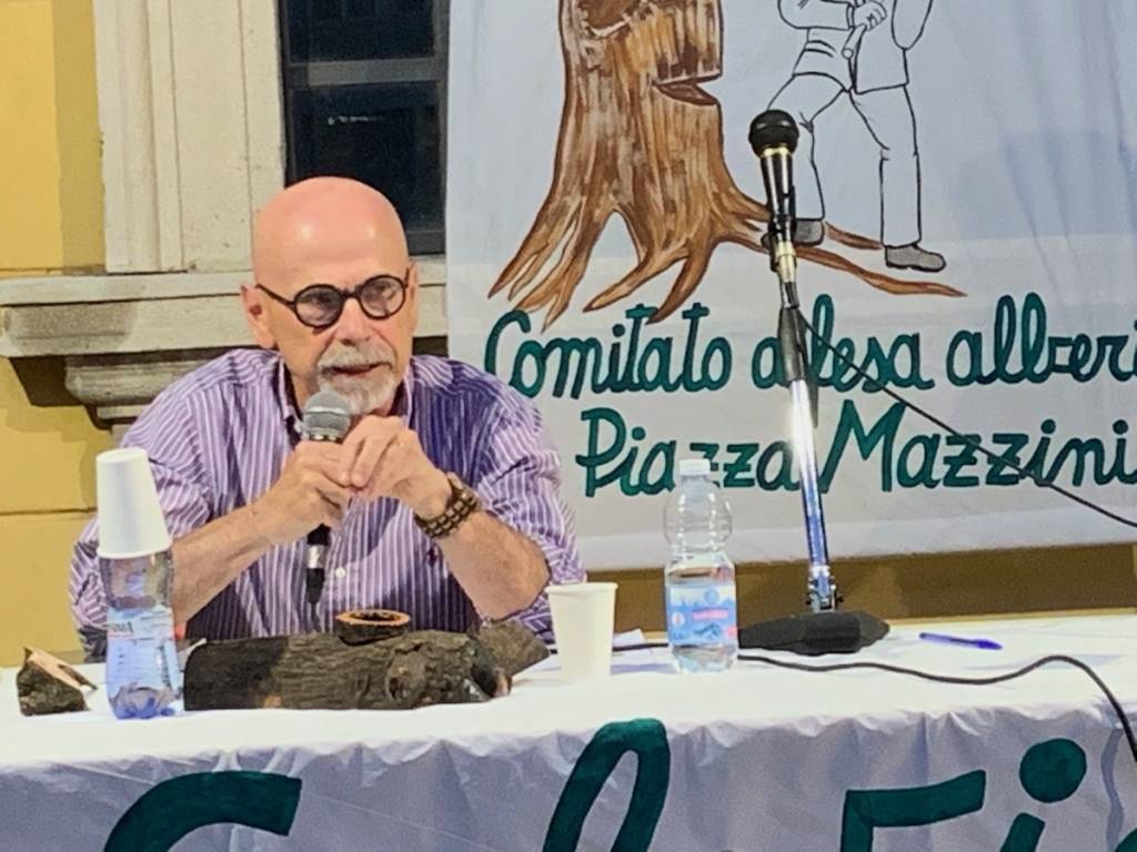 Tradate - Serata pubblica per salvare gli alberi di piazza Mazzini
