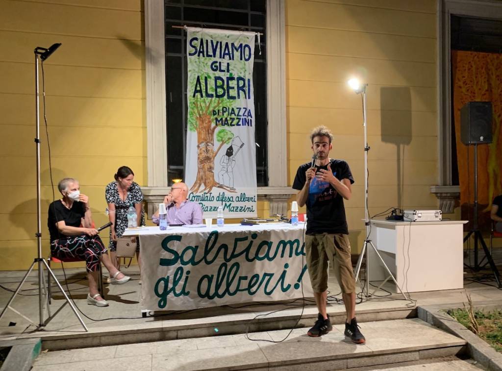 Tradate - Serata pubblica per salvare gli alberi di piazza Mazzini