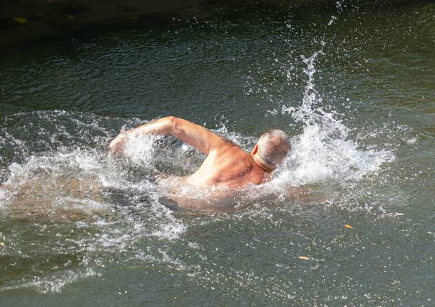 A Ferragosto, un tuffo e una nuotata nell'Olona di Parabiago