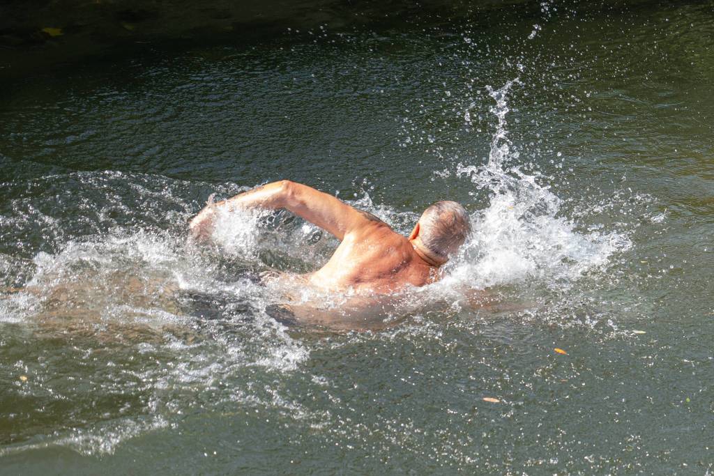 A Ferragosto, un tuffo e una nuotata nell'Olona di Parabiago
