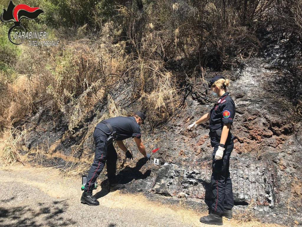 Gli incendi boschivi nel Comasco del 2019