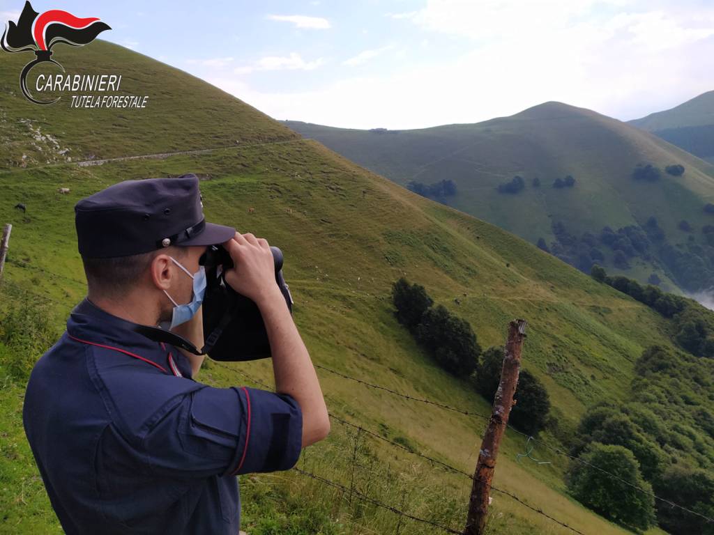 Gli incendi boschivi nel Comasco del 2019