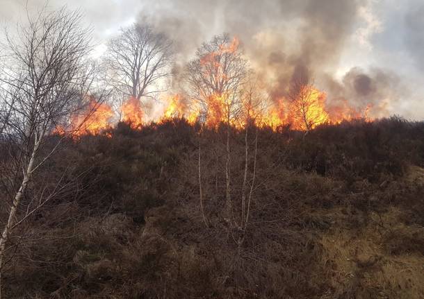 Gli incendi boschivi nel Comasco del 2019