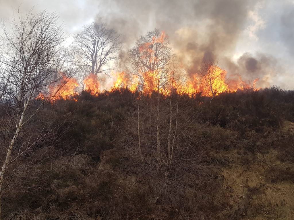 Gli incendi boschivi nel Comasco del 2019