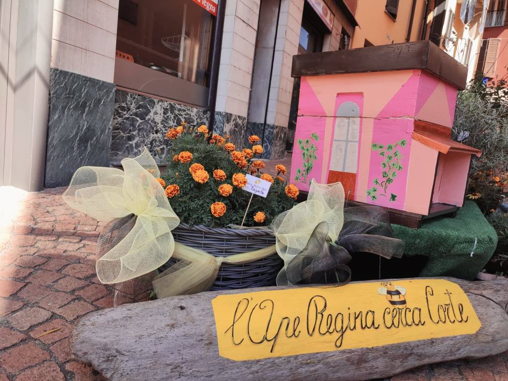 Via Cavallotti a Luino amica delle api