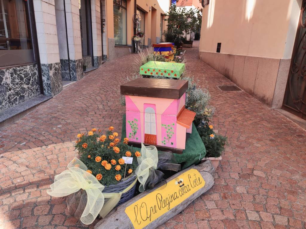 Via Cavallotti a Luino amica delle api