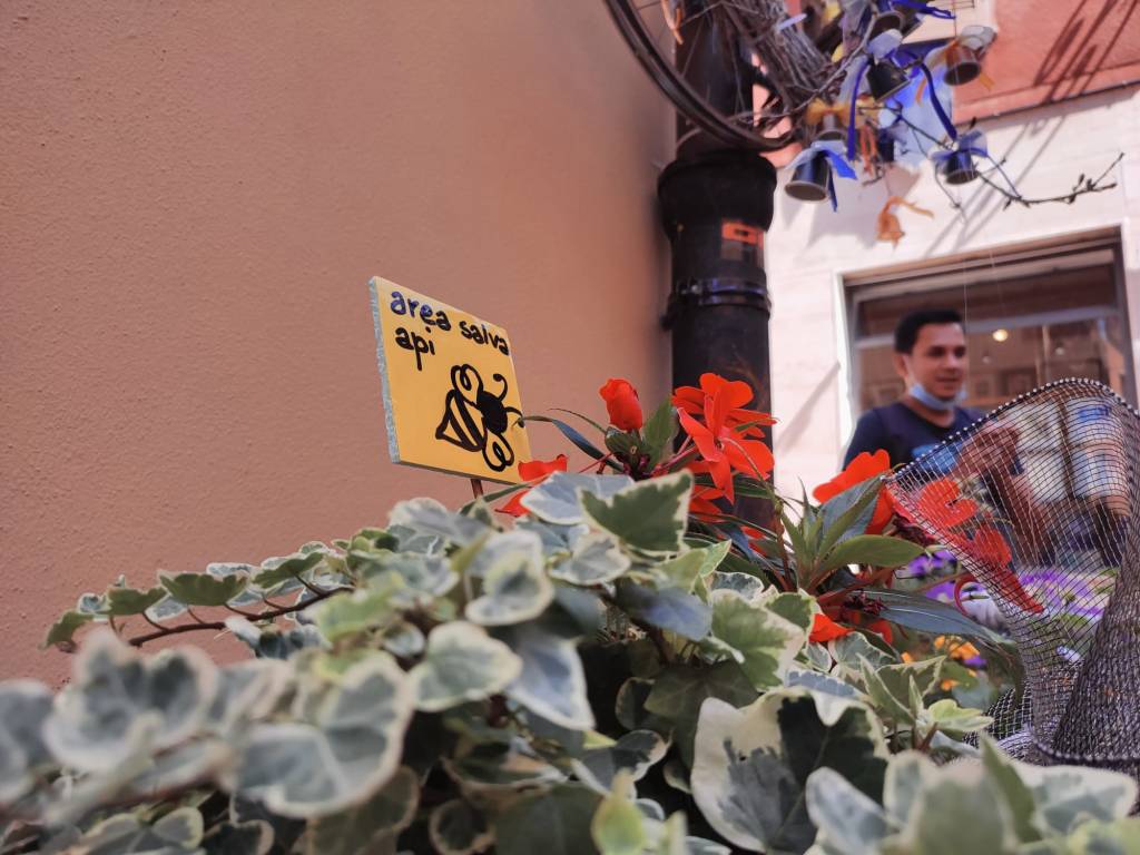 Via Cavallotti a Luino amica delle api