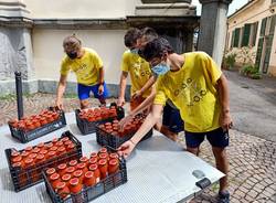 Caritas Ambrosiana, passata di pomodoro cooperativa Il Grigio