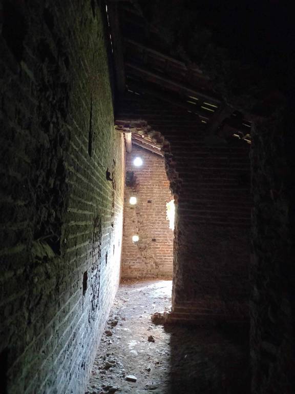 Collegiata, Castiglione Olona