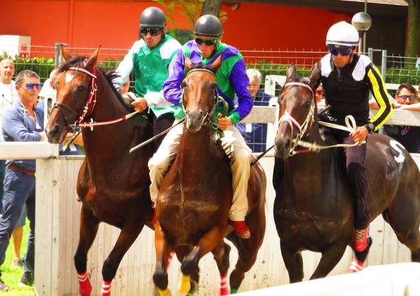 Corse di addestramento Palio di Legnano - 1 agosto 2021