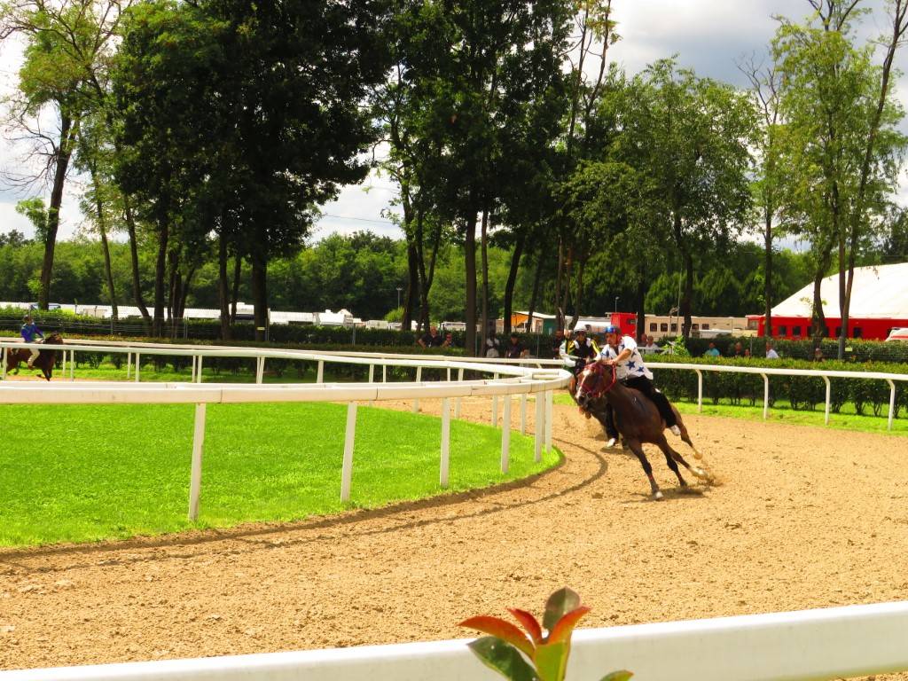 Corse di addestramento Palio di Legnano - 1 agosto 2021