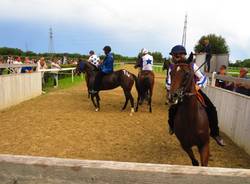 Corse di addestramento Palio di Legnano - 1 agosto 2021