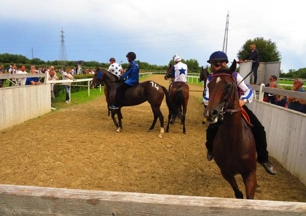 Corse di addestramento Palio di Legnano - 1 agosto 2021