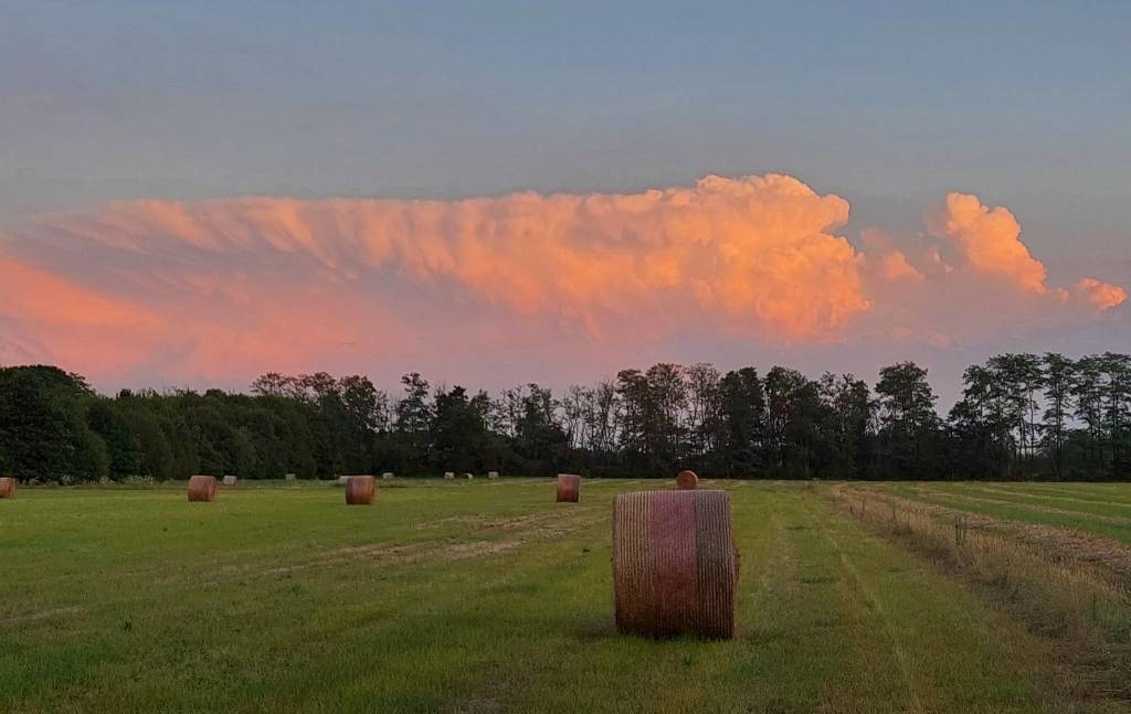 foto del giorno agosto 2021