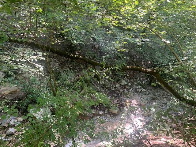 gavirate 6 agosto 2021 dissesto e frana