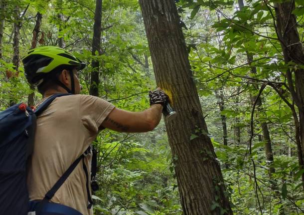 Il tragitto “Frecce gialle”