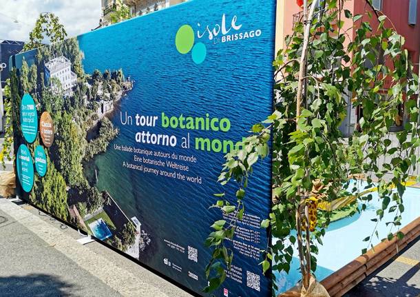isole brissago festival cinema locarno