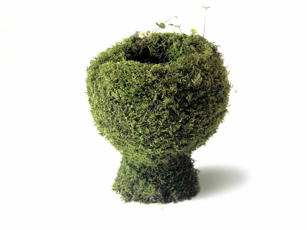 La mostra "Sono tazza di te!"