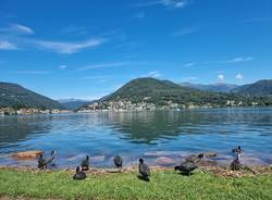 La sponda Varesina del Lago Ceresio