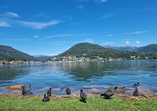 La sponda Varesina del Lago Ceresio