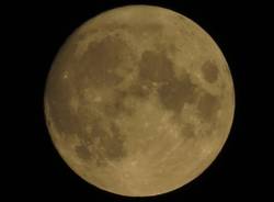 Luna piena