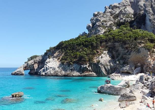 mare