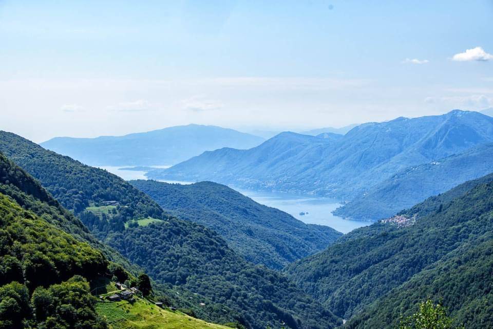 Monteviasco 