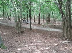 Operazione antidroga nel Parco delle Groane, De Corato: "Risultati concreti dopo accordo con Regione"