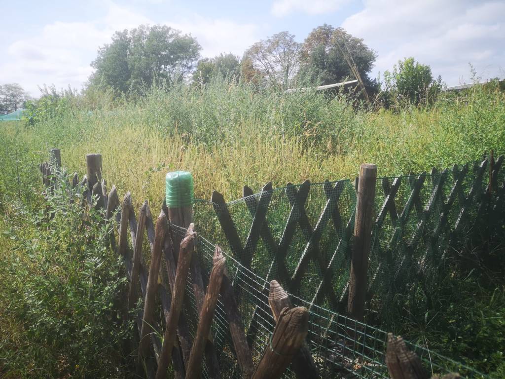 Orti sociali Legnano