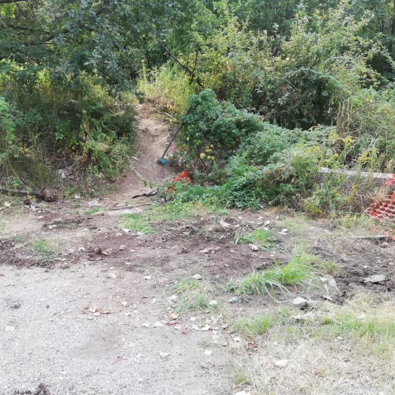 Parco delle Groane: volontari ripuliscono un'area sulla Saronno - Monza 