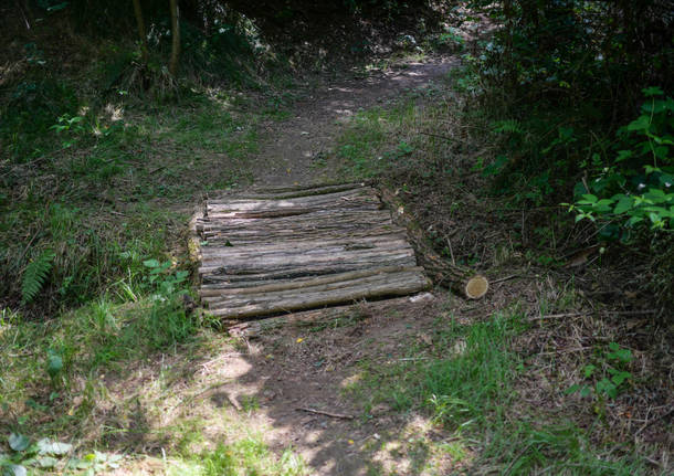 ponte sentiero bosco albizzate