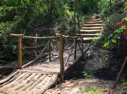 ponte sentiero bosco albizzate